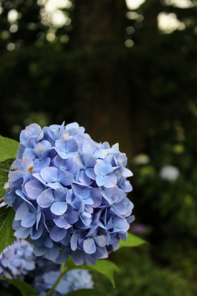 IMG_2068~2