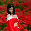 曼珠沙華