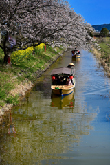 春の水郷