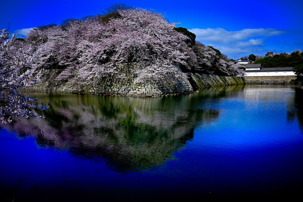 彦根城