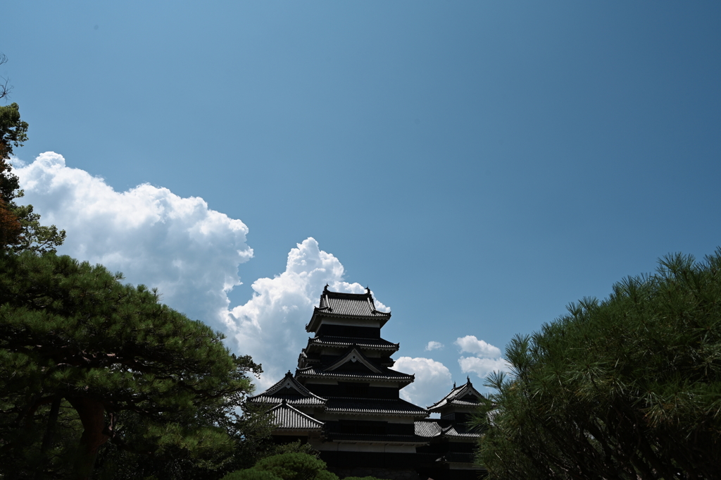 松本城