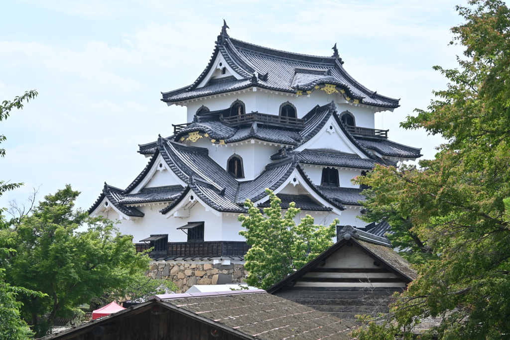 彦根城
