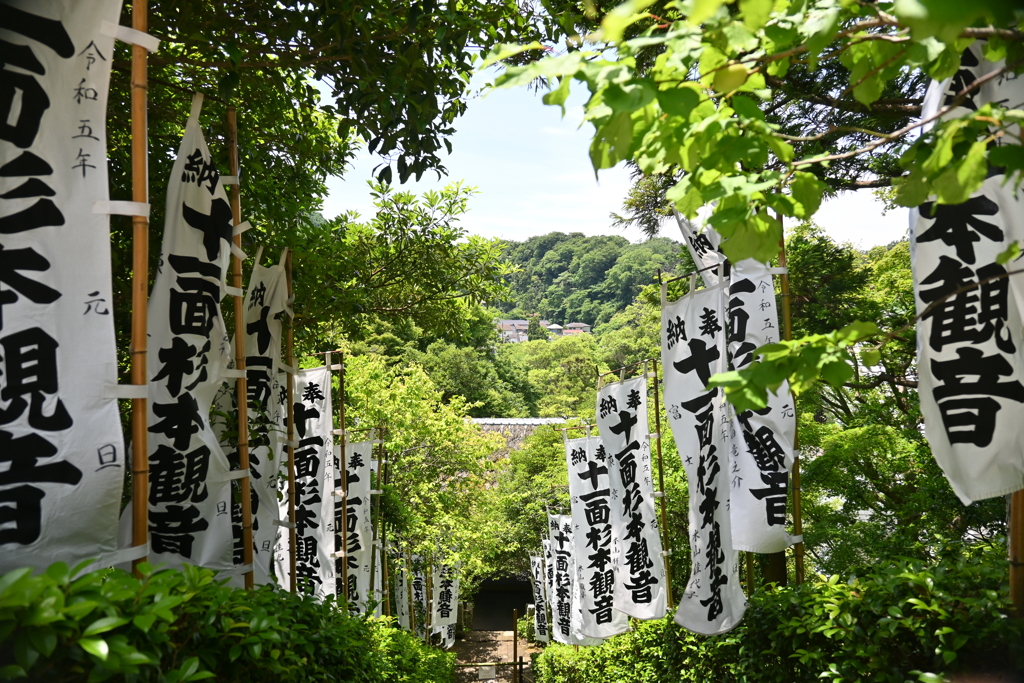 鎌倉三十三観音巡り