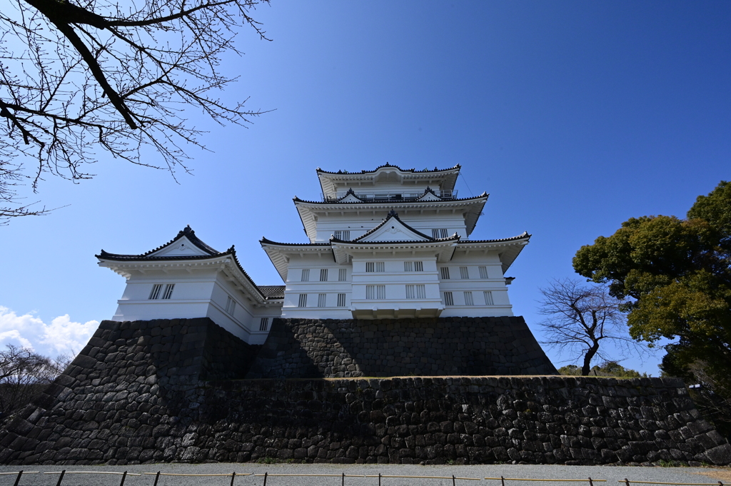 北条氏の本拠地　小田原城