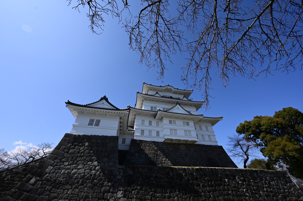小田原城