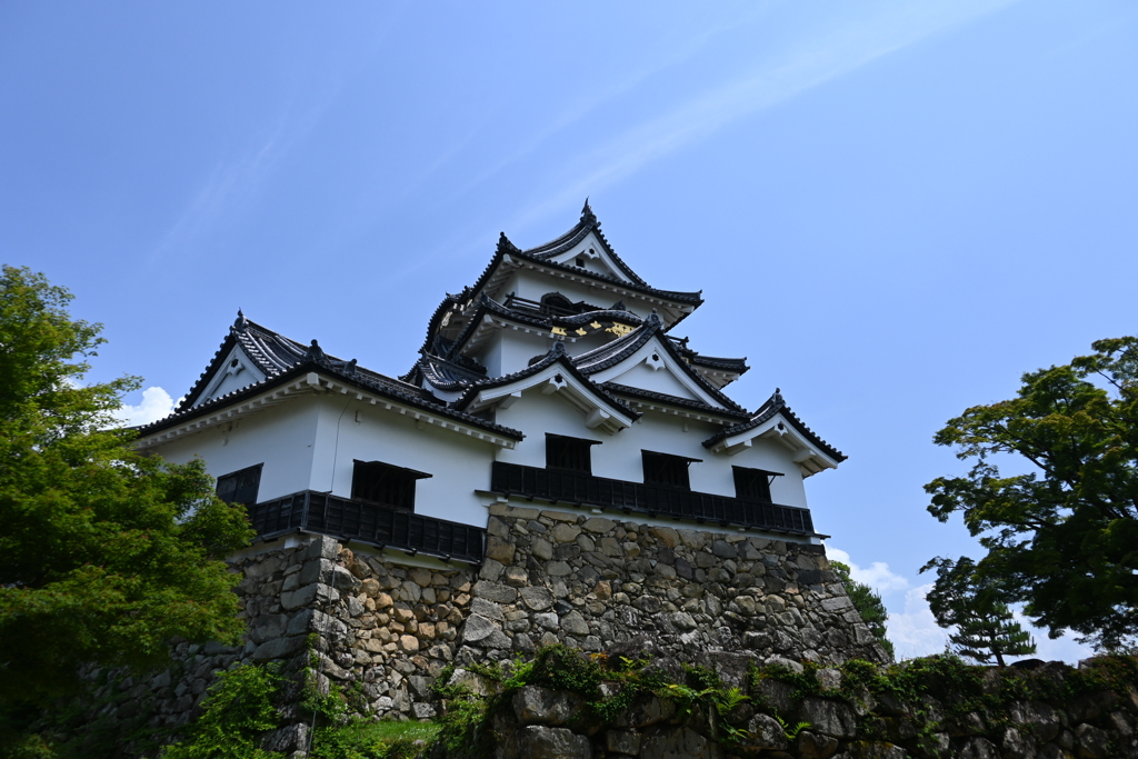 彦根城