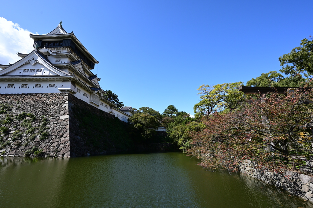 小倉
