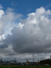空
