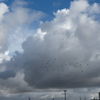空