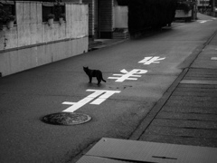止まれ
