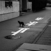 止まれ