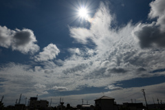 ヤツは今日も元気に