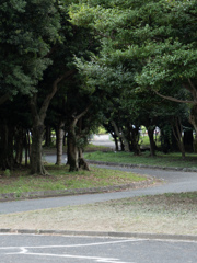 道