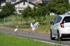 逃げろ