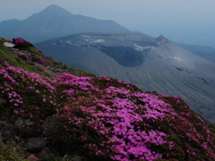 山景～花～