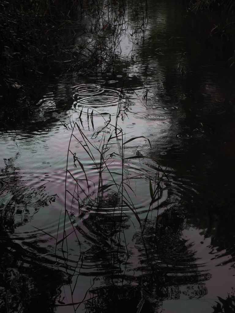 水景～波紋～