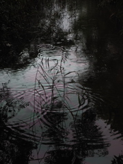 水景～波紋～