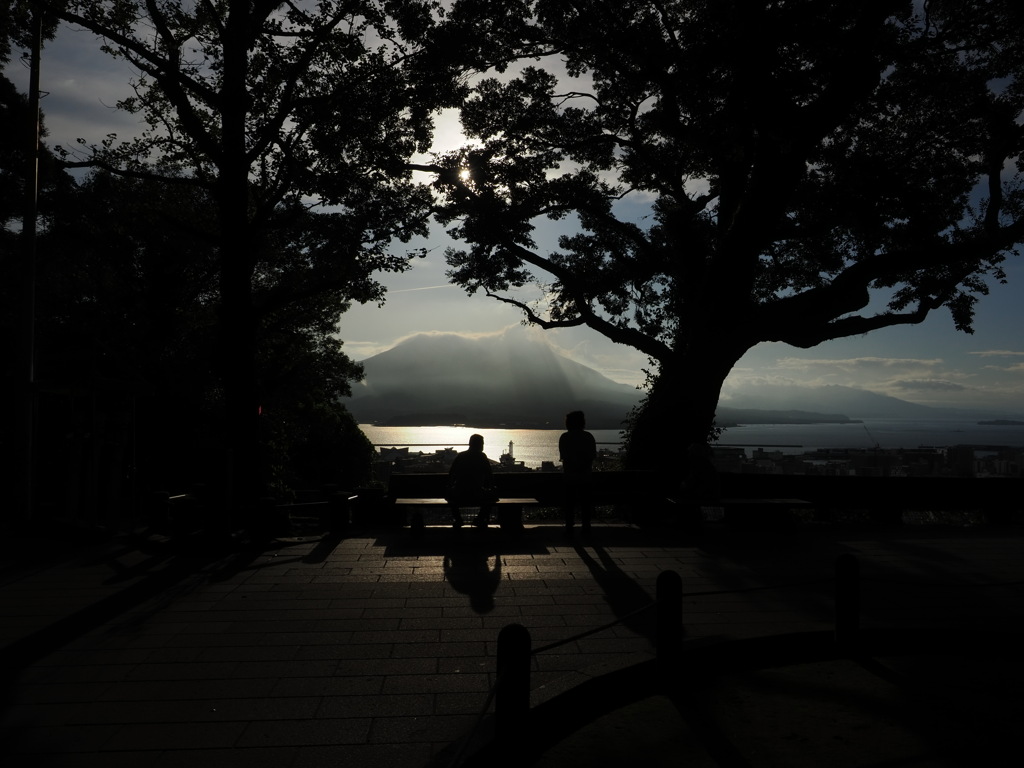 桜島百景