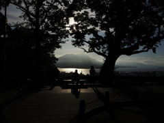 桜島百景