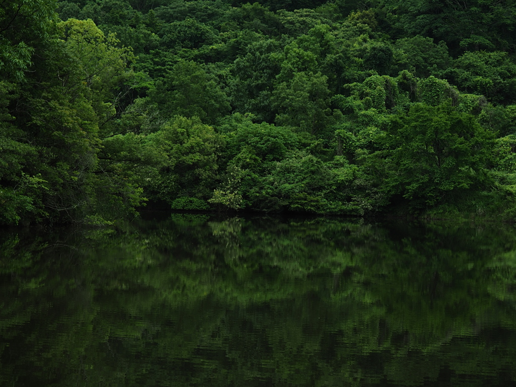 水景