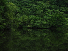 水景