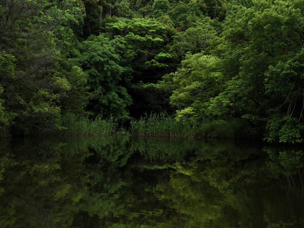 水景