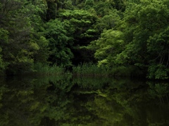 水景