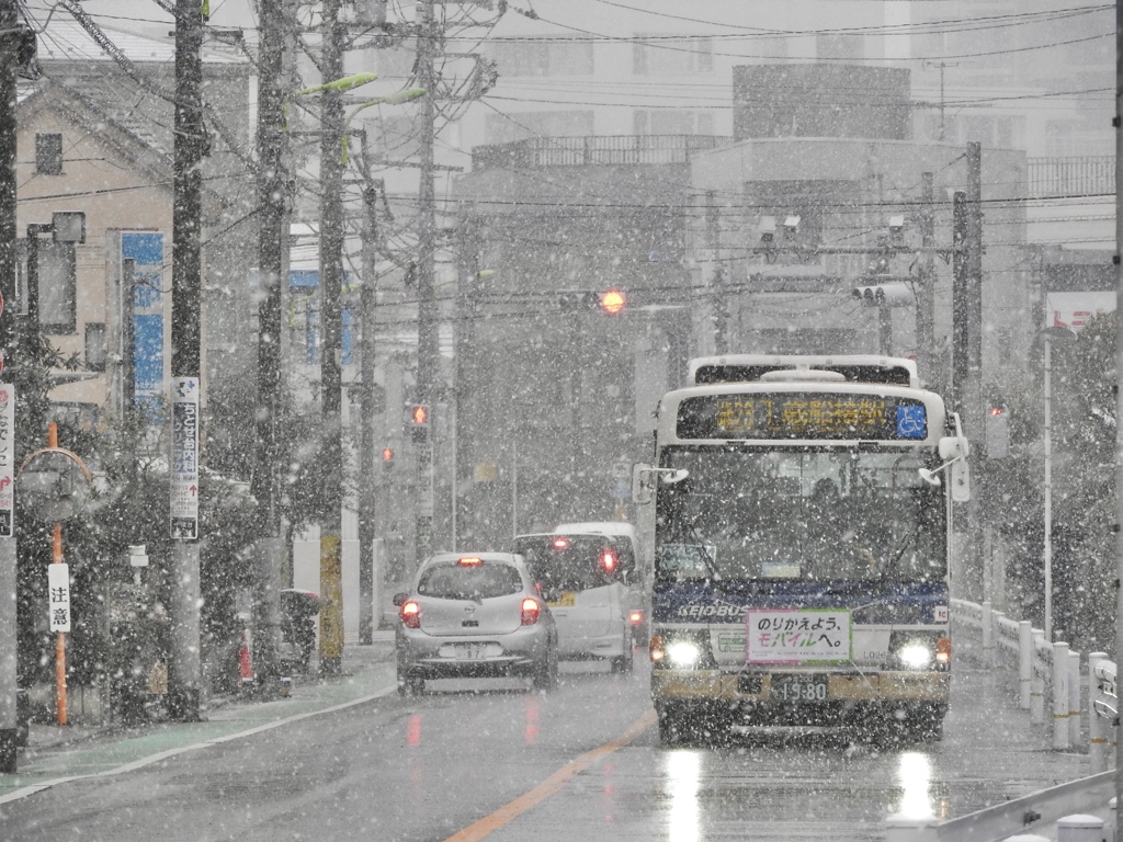 大雪をゆっくりと