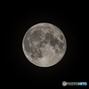 「Blue moon」
