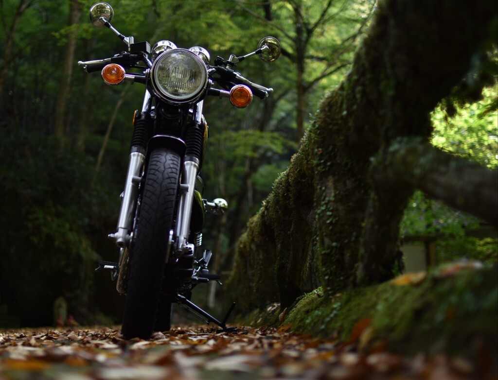 苔と落ち葉とオートバイ