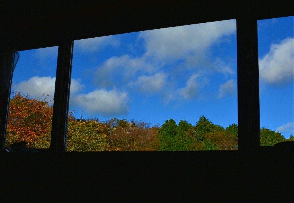窓辺の秋