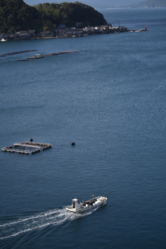 伊根の海、伊根の舟