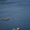 伊根の海、伊根の舟