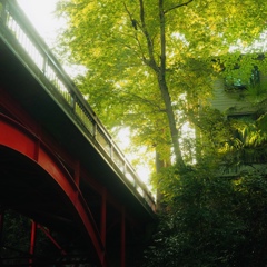 R0003539