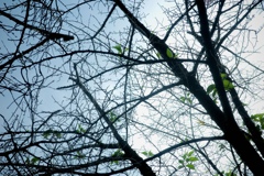 R0005667