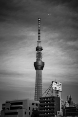 skytree