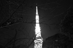 R0007241