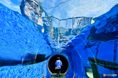 青いトンネル、青い服