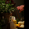Happy Halloween ♪from closed Flower shop