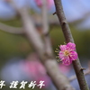 2025年 新年あけましておめでとうございます