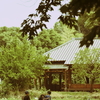遠い日の夏、、