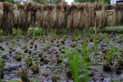 終わったけど、始まった