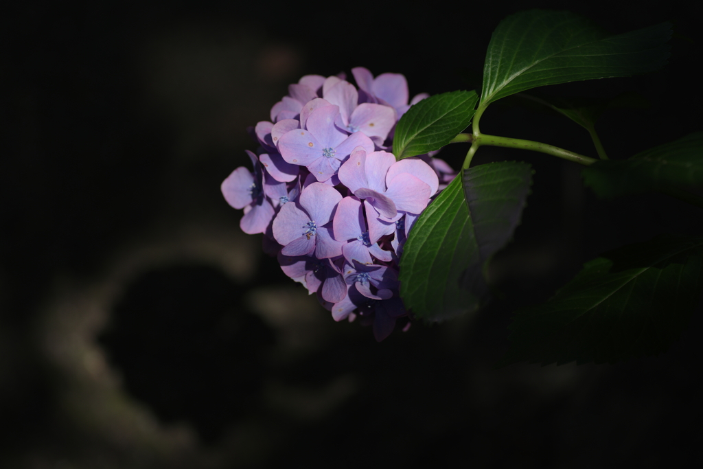 夏の門