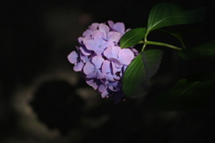 夏の門