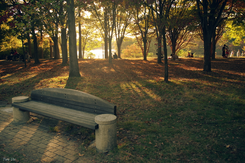 秋光の中で憩う