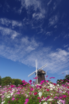 蒼き高い秋空に導かれて