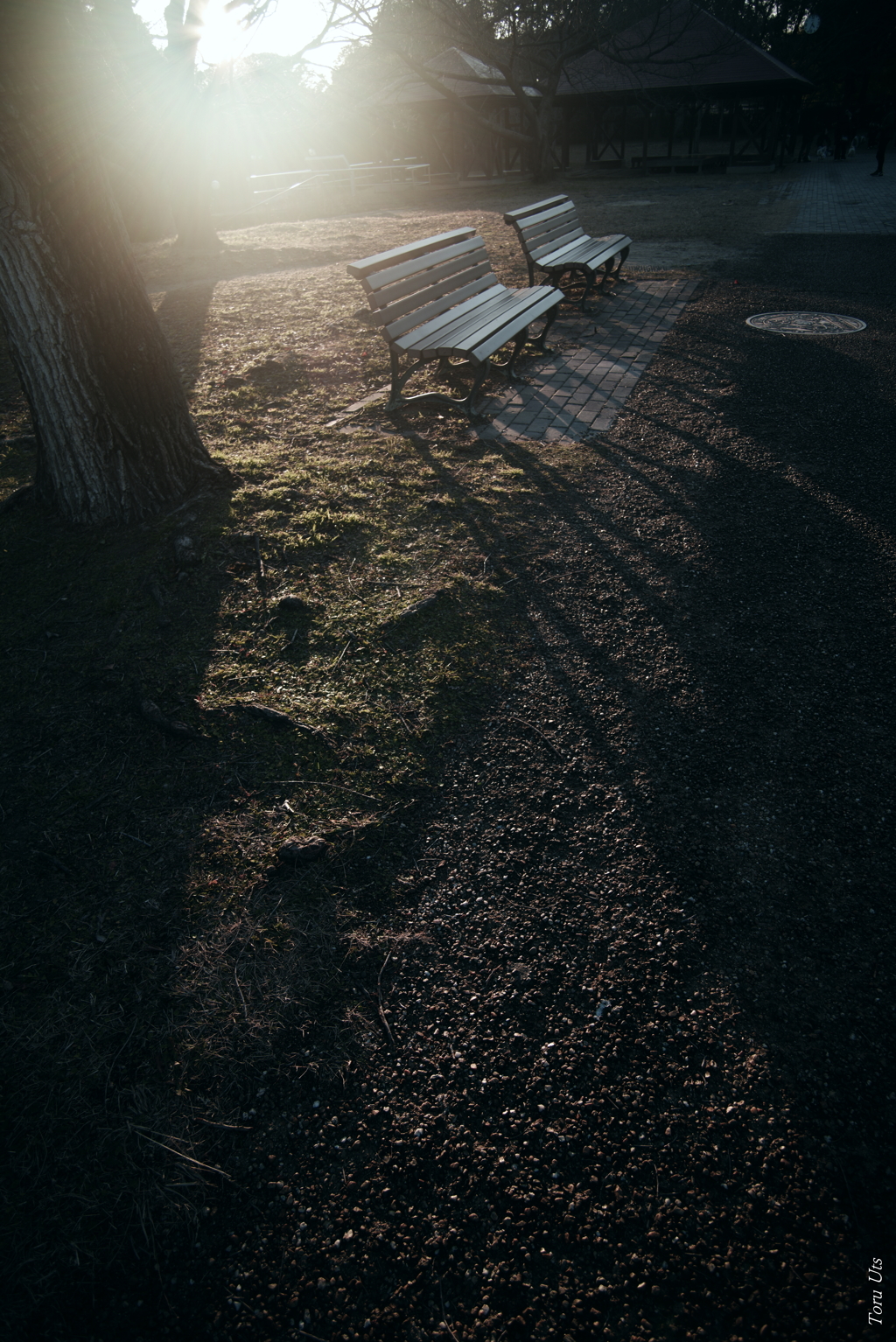 ベンチに掛ける冬陽