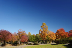 12月1日（日）晴天の正午前の公園