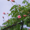陽光の彩り