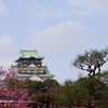 大阪城公園と言えば大阪城　松◯梅付き